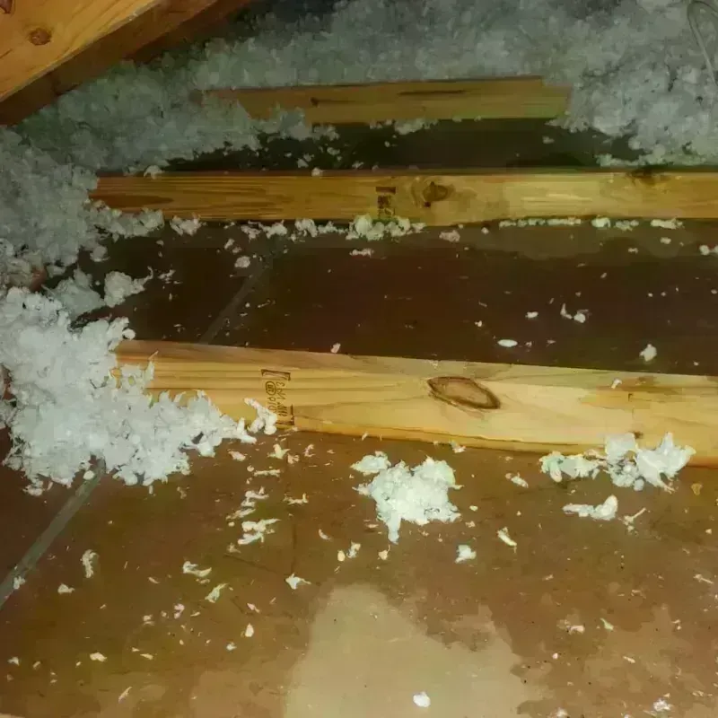 Attic Water Damage in Alameda, CA