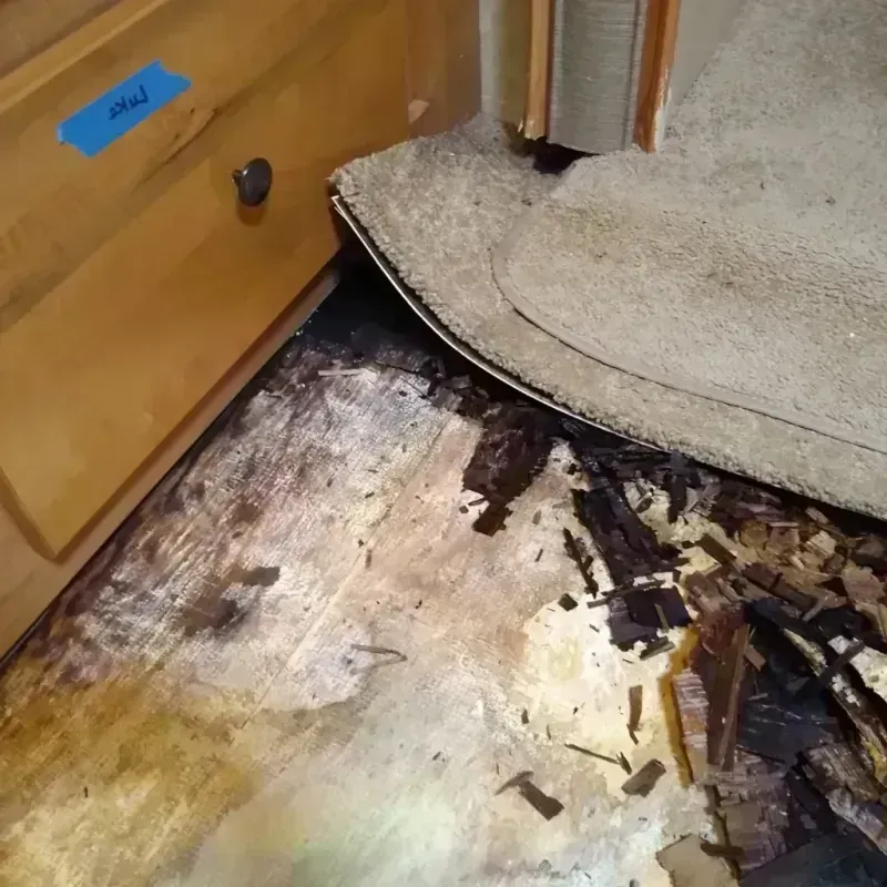 Wood Floor Water Damage in Alameda, CA